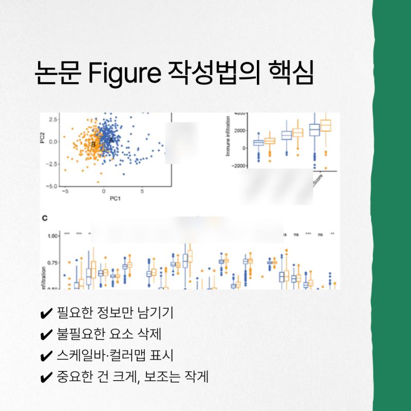 관련 이미지